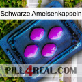 Black Ant Capsules 04
